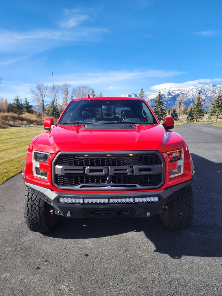 Image 2019 Ford F150 Raptor