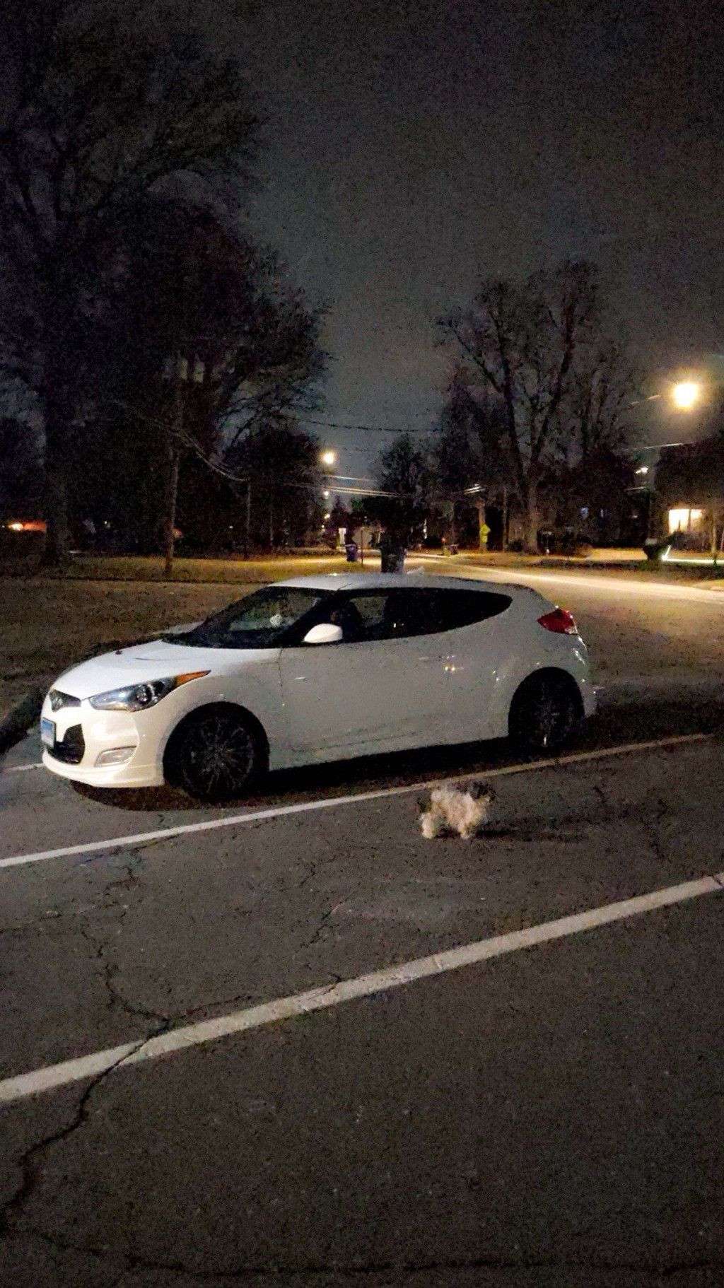 Image 2013 HYUNDAI Veloster Base/ BaseStyle/ Base Tech Turbo/ Turbo Ultimate